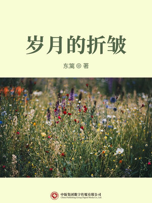 cover image of 岁月的折皱